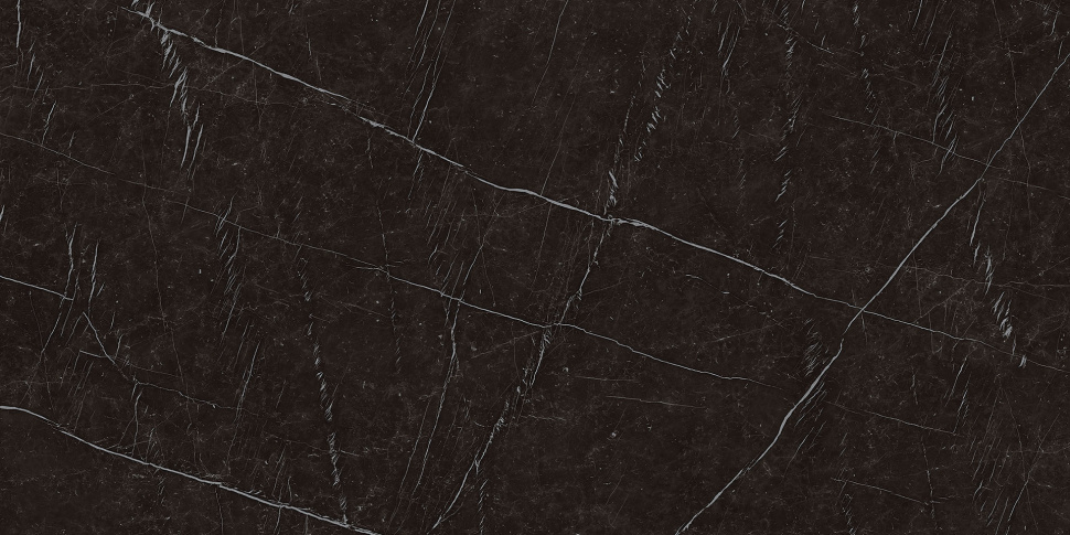 Read more about the article Nero Marquina